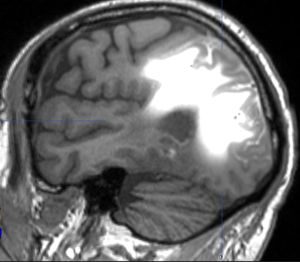 Clinical Data image